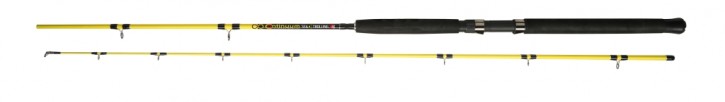 Dega Angelrute Continuum Trolling 2,40m 15-25Lbs