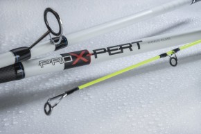 Dega Brandungsrute PRO X-Pert World Class 4,20m 80-250g