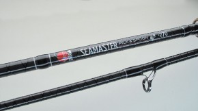 Dega Seamaster Pilk & Spoon 50-100g 2,70m