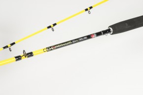 Dega Angelrute Continuum Trolling 2,40m 15-25Lbs