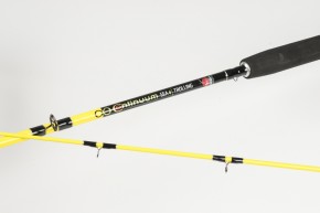 Dega Angelrute Continuum Trolling 2,40m 15-25Lbs